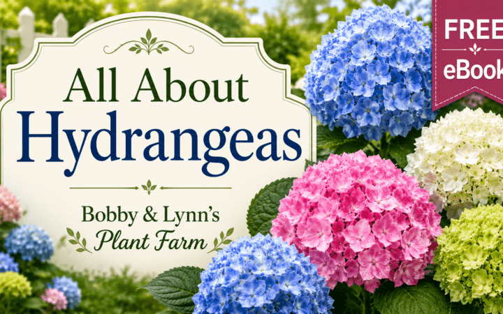 Free eBook All About Hydrangeas