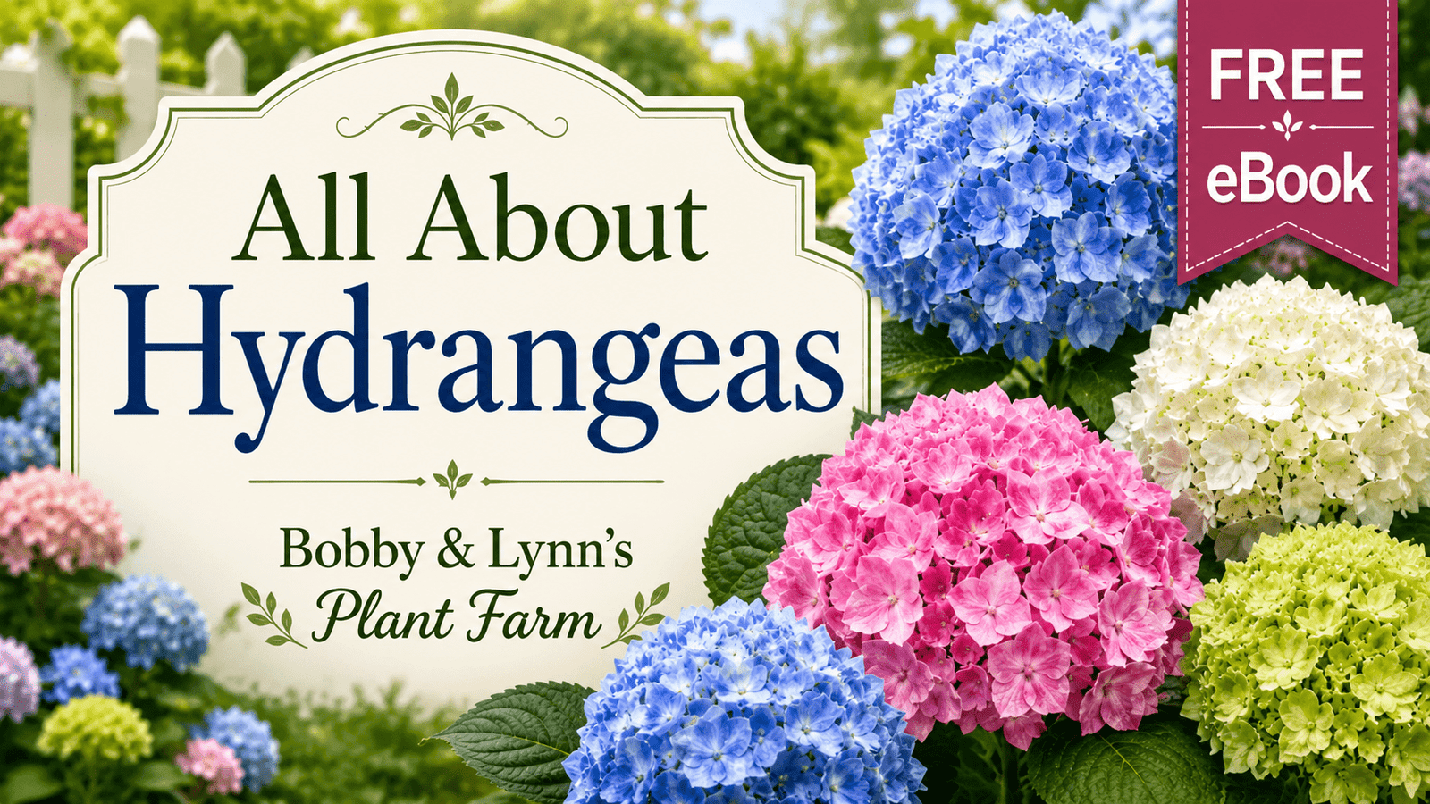 Free eBook All About Hydrangeas
