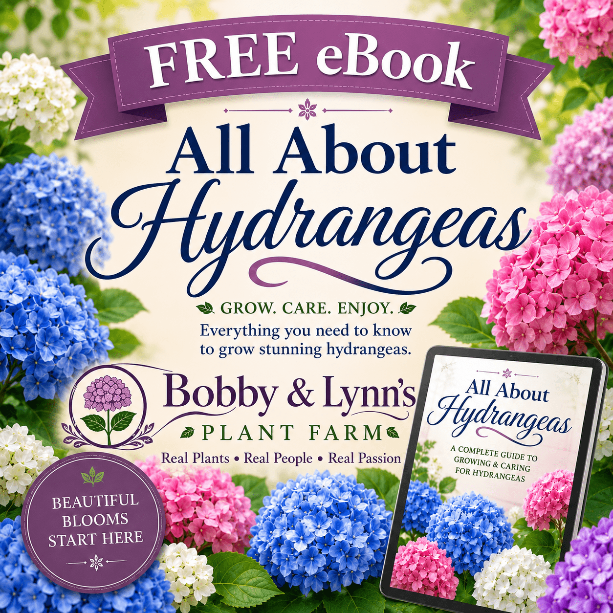 Free eBook