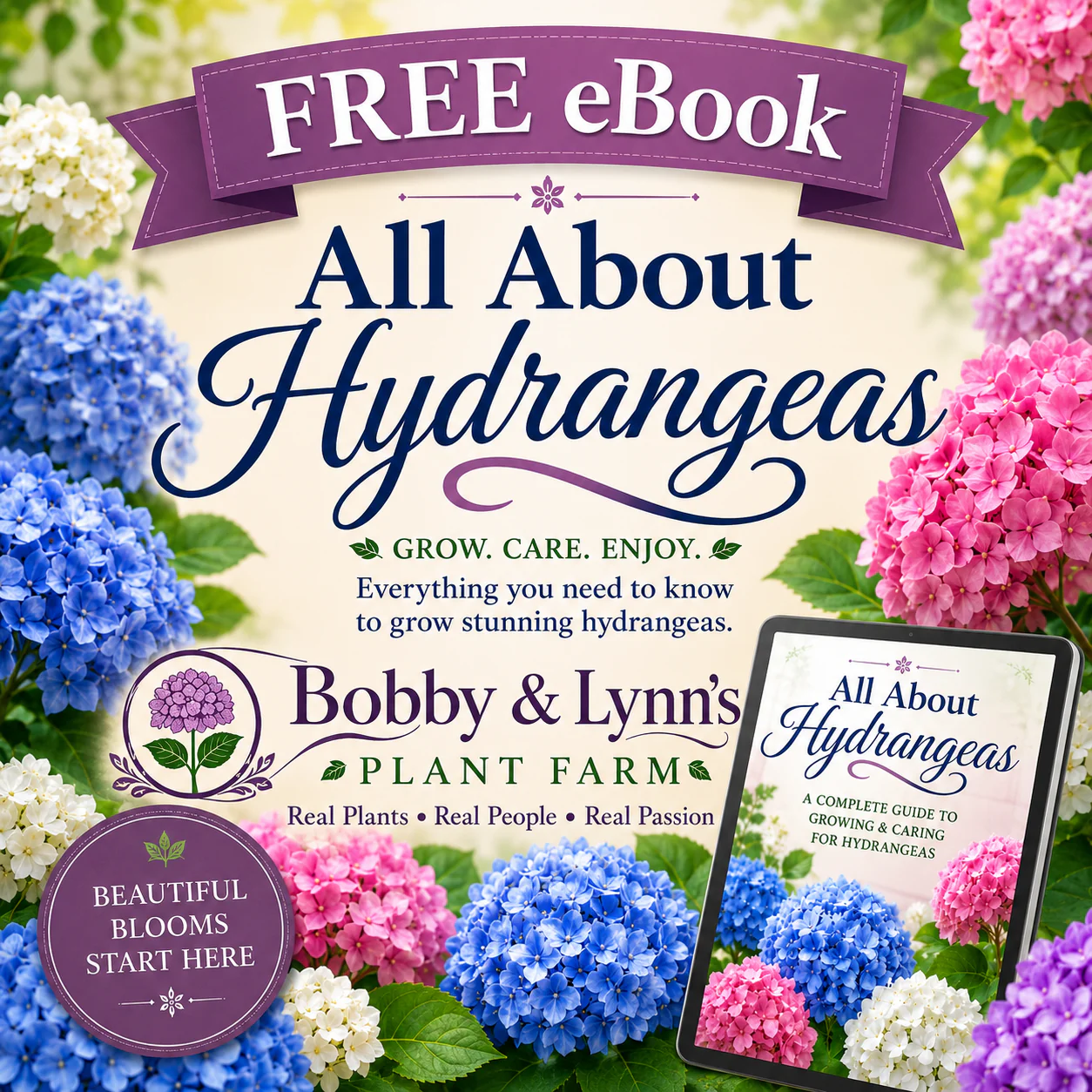 Free eBook