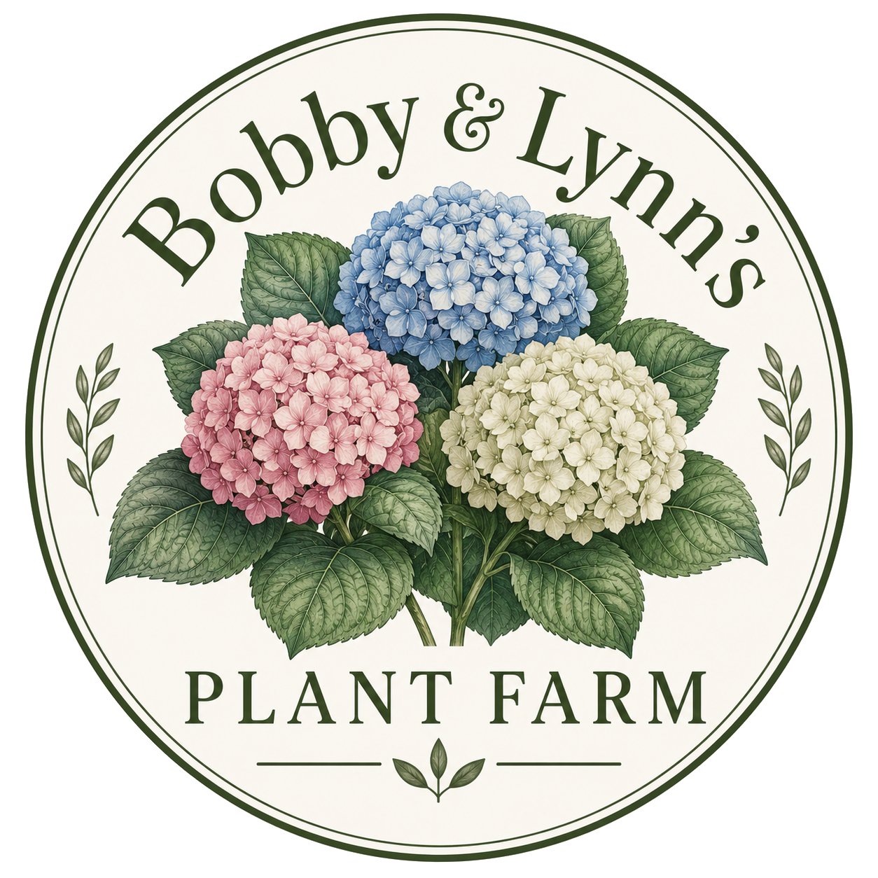 Bobby & Lynn's Plant Farm. I already have a domain name called Https://bobbynlynnsplantfarm.com and I bought it through namescheap