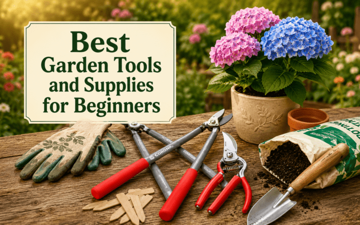 Best Garden Tools for Beginners