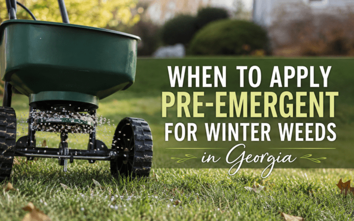 When to apply Pre Emergent