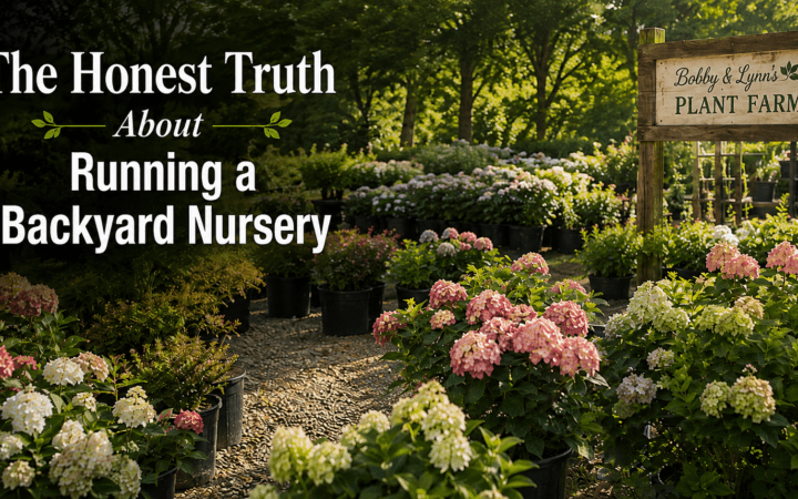 Hero banner for a blog post: The Honest Truth About Running a Backyard Nursery with a plant farm scene and hydrangeas in bloom