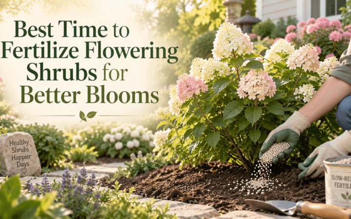 Best Time to Fertilize Flowering Shrubs for Better Blooms