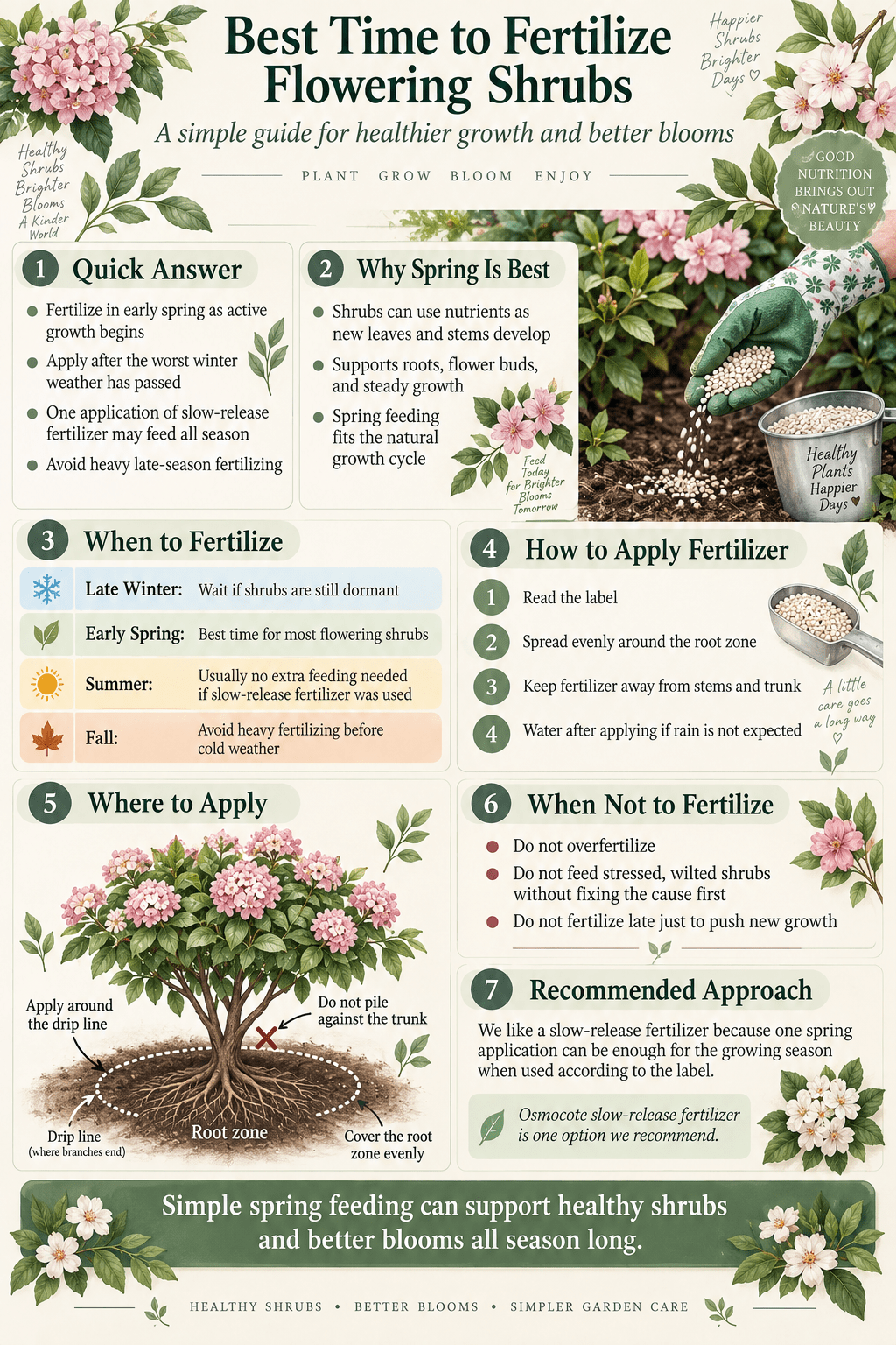 Best Time to Fertilize Flowering Shrubs for Better Blooms Infographic