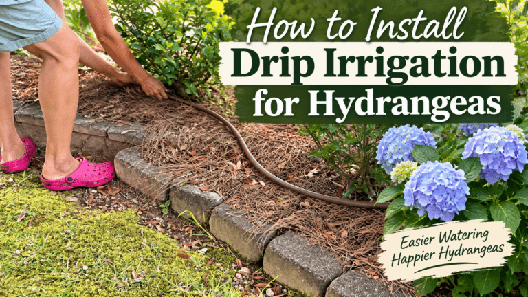 Featured image for the post for how to install a drip irrigation system
