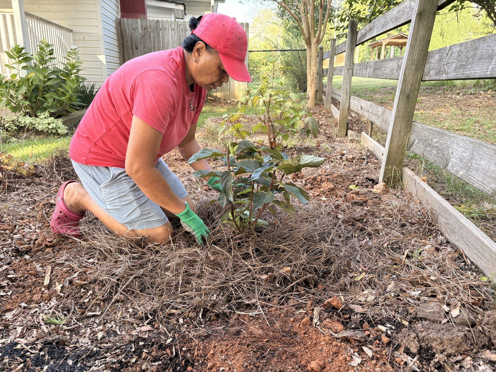 Lynn applying mulch around a newly planted shrub at Bobby & Lynn’s Plant Farm.