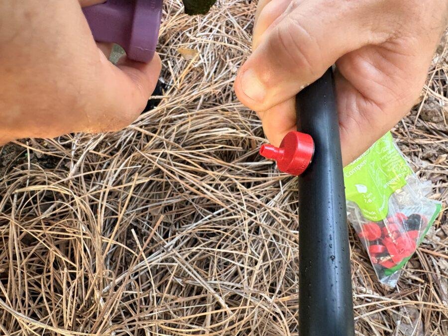 Close-up of hands holding drip irrigation tubing and an emitter tool while installing a drip emitter into the pipe.