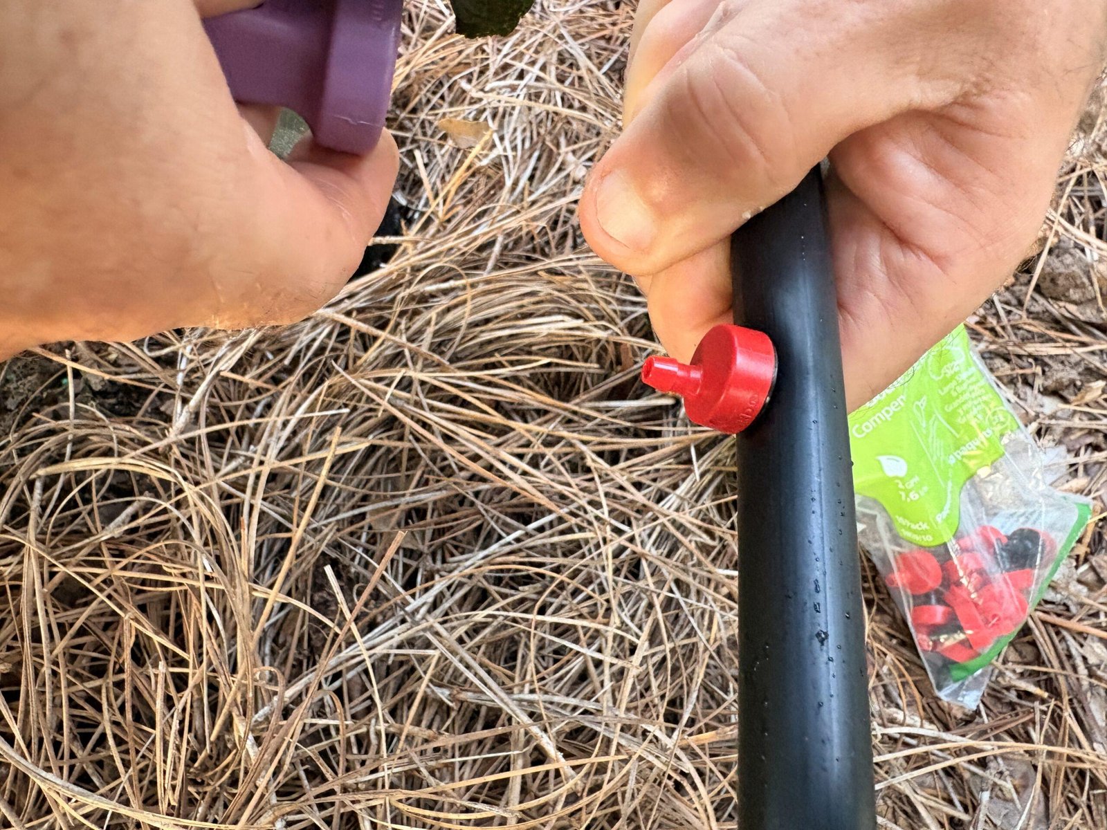 Close-up of hands holding drip irrigation tubing and an emitter tool while installing a drip emitter into the pipe.
