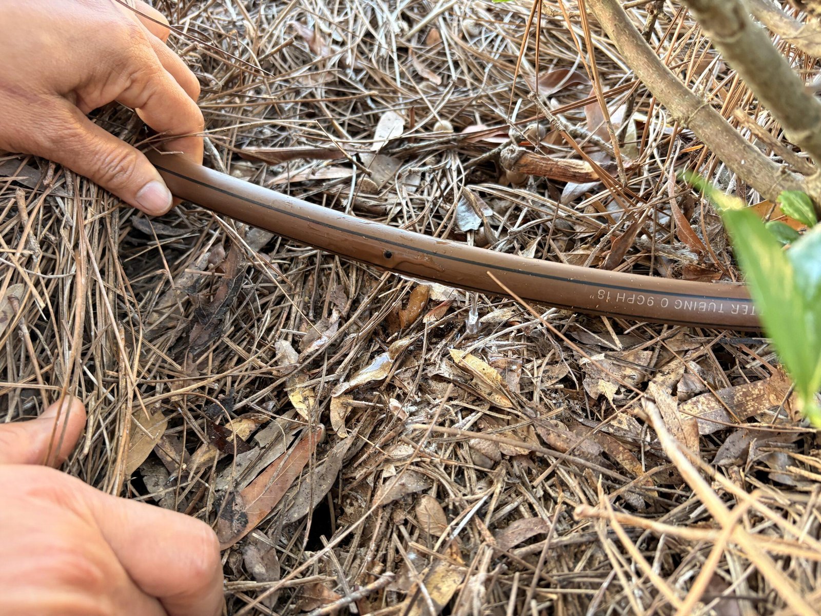Rain Bird 1/2-inch drip emitter tubing with built-in emitters spaced every 18 inches