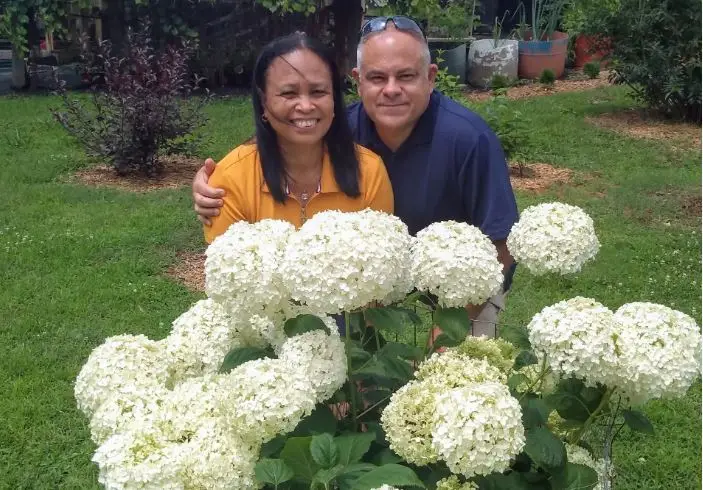 Bobby and Lynn of Bobby & Lynn’s Plant Farm standing behind white hydrangeas
